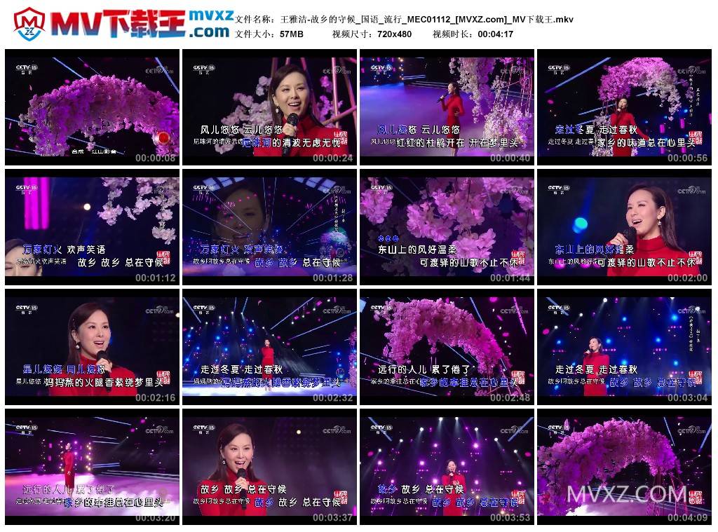 王雅洁-故乡的守候_国语_流行_MEC01112